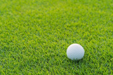 Yeşil çim Golf topu Golf kortunda vurulmaya hazır