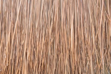 Çatı arka planı, saman ya da kuru çimen arka planı.