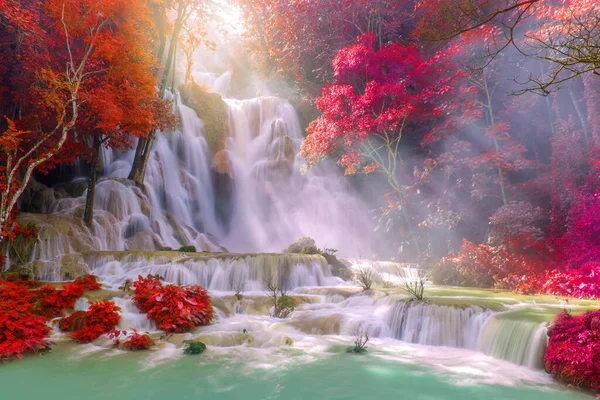 Yağmur ormanlarında şelale. (Luang Prabang 'da Tat Kuang Si Şelaleleri, Laos)