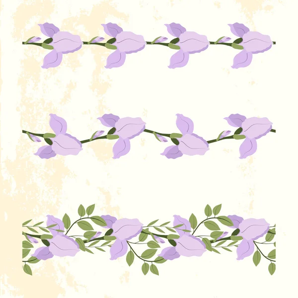 Lilac iris hladký rámeček pro potisk designu. — Stockový vektor