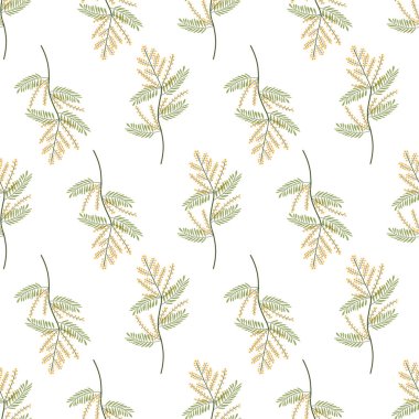 Yeşil yapraklı Mimosa çiçeği beyaz arkaplanda pürüzsüz desen.