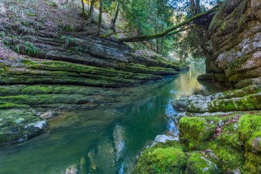 İsviçre 'deki yeşil ve nemli vahşi bölge vadisi.