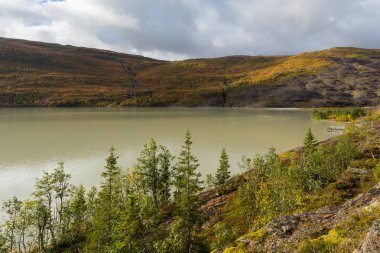 Norveç Gölü Svartisvatnet ve sonbaharda sabah güneşi ormanı