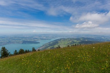 Gnipen Dağı 'ndan yeşil çayır ve Zug Gölü' ndeki çiçeklerin manzarası