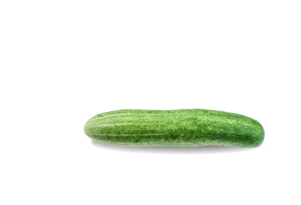Groene Komkommer Witte Achtergrond — Stockfoto