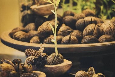 Tarım ekimi bahçede büyüyen basamak konsepti. Bitki tohumu yetiştirme kavramına sahip tarım çiftliği. Ekoloji konsepti. Kuru zeminde filizlenen.