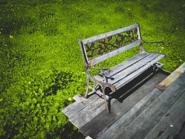 Kozmos 'un yazlık çiçek tarlası arka planında eski bir ahşap bank. Tatil fikri üzerinde doğayla vakit geçirmek