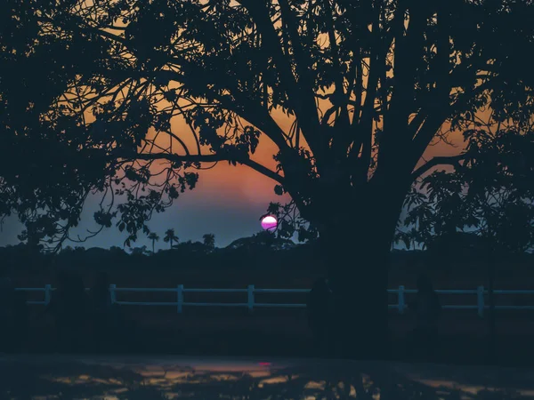 Bela Paisagem Céu Mágico Nascer Sol Com Árvore Foto Silhueta — Fotografia de Stock