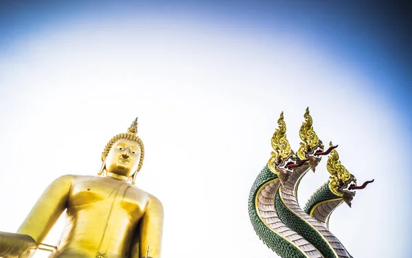 Socha Zlatého Buddhy Světě Socha Velkého Hada Naga Chrámu Wat — Stock fotografie