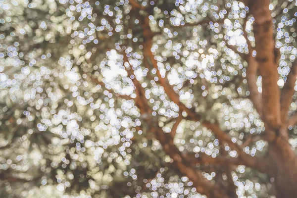 Vintage Tone Blur Obraz Abstrakcyjny Bokeh Światła Nad Drzewem Old — Zdjęcie stockowe