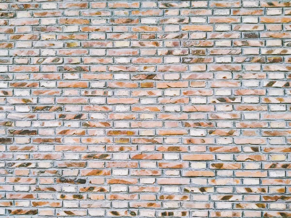 Naranja Ladrillo Azar Vidrio Malla Resina Montada Mosaico Azulejos Crea — Foto de Stock