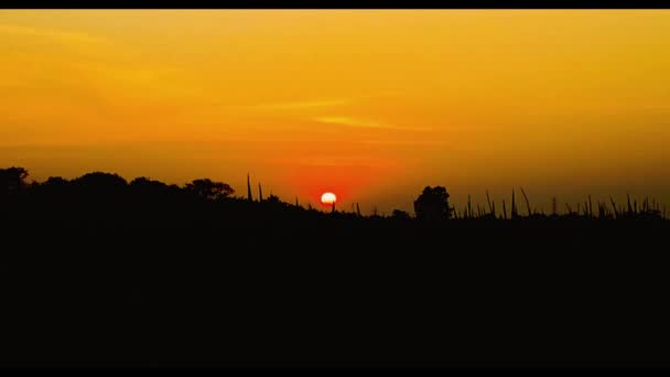 Die Sonne Versinkt Zum Horizont Die Form Ändert Sich Sonnenuntergang — Stockvideo