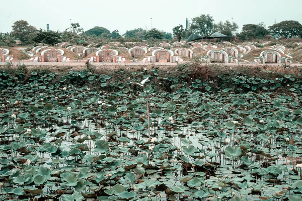 Abril Nonthaburi Tailandia Las Lápidas Lago Loto Chino Primer Plano —  Fotos de Stock
