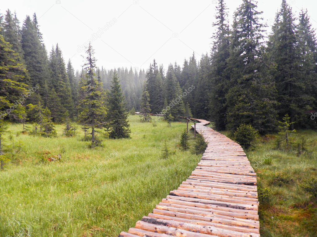 Wooden Path on a Grassy Terrain in Bucegi Romania vacation time travel Europe destination.