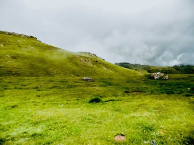 Gizemli yeşil sisli çam ağacı ormanının ve dağların panoramik görüntüsü. Bucegi Dağları Romanya Bahar Günü .