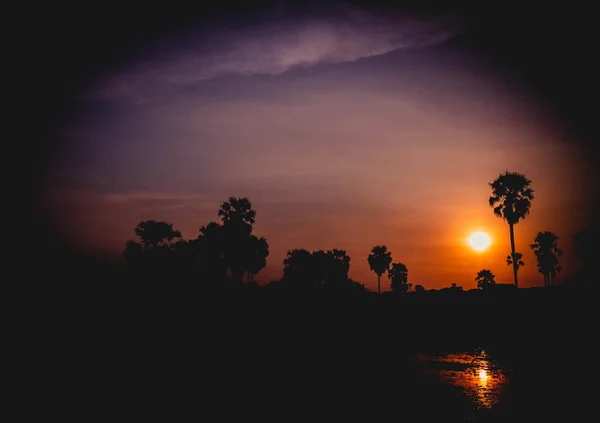 Silhouette Palme Cocco Durante Tramonto Accanto All Acqua Mare Sull — Foto Stock