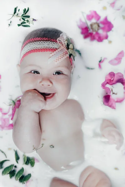 Baby Milk Flowers — Stock Photo, Image