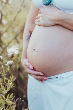 Hamile anne tarlada.