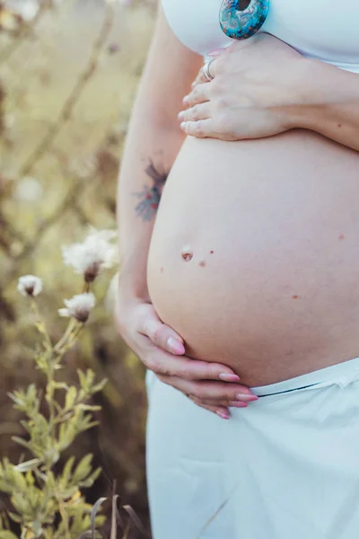 Pregnant Mom Field — Stock Photo, Image