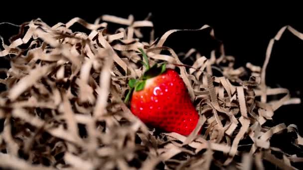 Fresas Grandes Sobre Fondo Negro — Vídeos de Stock