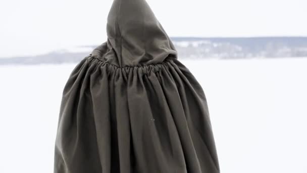 Зимовий Лицар Мечем — стокове відео