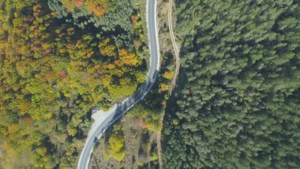 Güzel, manzaralı sonbahar manzaralı dolambaçlı dağ yolunun hava manzarası. — Stok video