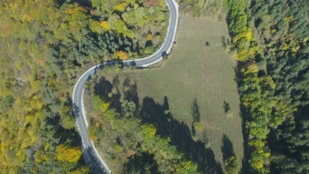 Ovanifrån av natursköna bergsvägen går tråg gyllene skog i bergen — Stockvideo