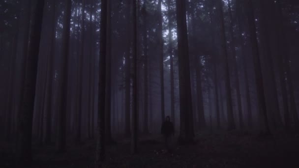 Turista con chaqueta negra deambulando en profundos bosques de niebla — Vídeo de stock