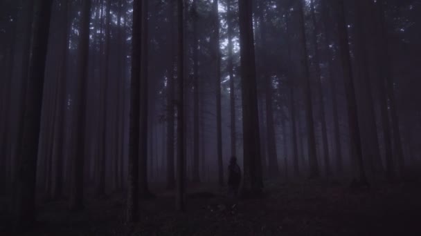 観光客の深い暗い霧の森の中で夜に助けを探して失われます。避難所の概念を探している人 — ストック動画