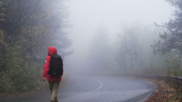 Man turist i röd regnrock promenader på dimmig våt väg — Stockvideo