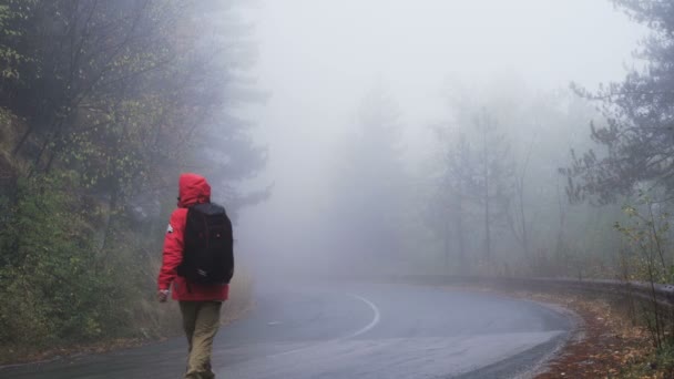 Man toerist in rode regenjas wandelen op mistige natte weg — Stockvideo