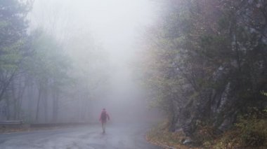 Sisli yolda duran yalnız bir adamın silueti kayıp ve yardım arıyor.