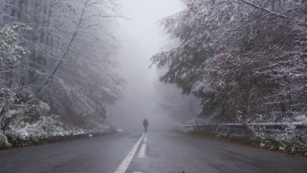 Le touriste disparaît dans le brouillard dense au bout de la route asphaltée dans la forêt gelée — Video