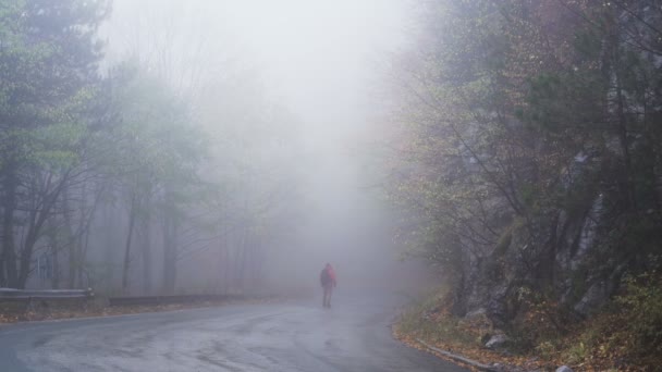 Zagubiony turysta szukający właściwej drogi w głębokiej mgle w deszczowy jesienny dzień — Wideo stockowe