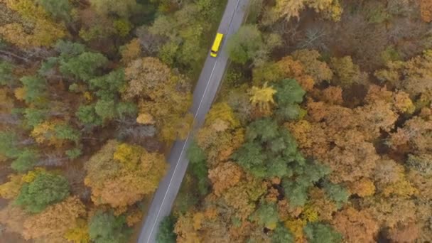 Κηφήνας μετά από κίτρινο λεωφορείο ή φορτηγό επιτάχυνση σε ορεινό δρόμο το φθινόπωρο — Αρχείο Βίντεο