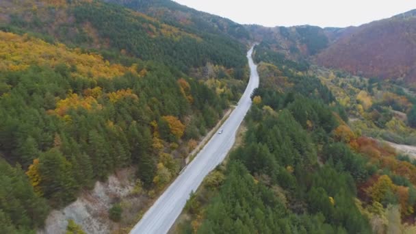 Vista aérea del exceso de velocidad del coche en la carretera forestal escénica. Drone persiguiendo coche en las montañas — Vídeo de stock