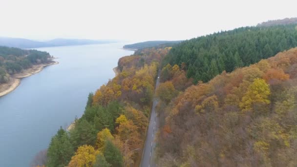 Аерофотозйомка прекрасного змішаного лісу в осінніх кольорах. Асфальтована дорога перетинає ліс — стокове відео