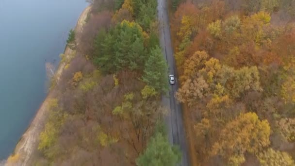 Drohne jagt Fahrzeug und rast auf Waldstraße — Stockvideo