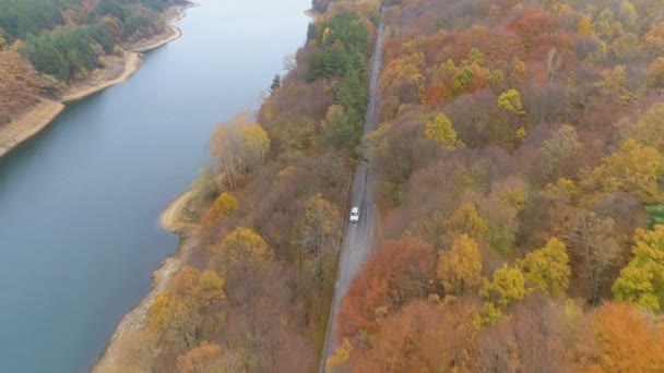 Drone seguinte carro branco condução e excesso de velocidade na estrada asfalto em linha reta vale floresta de outono mista — Vídeo de Stock