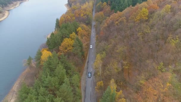 Черный автомобиль проезжает белый автомобиль по лесной дороге возле берега озера в солнечный осенний день — стоковое видео