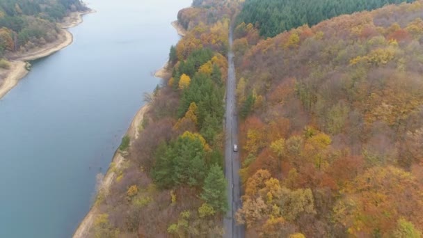 Drohne verfolgt rasendes Auto auf Asphaltstraße nahe Seeufer — Stockvideo