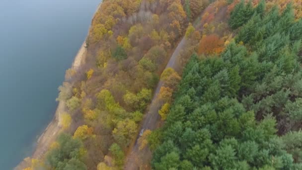 Дрон після автомобіля повільно їде по лісовій дорозі з красивими осінніми кольорами лісу — стокове відео