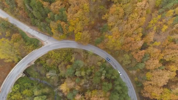 Dron po dwóch samochodach jadących na krętej leśnej drodze jesienią — Wideo stockowe