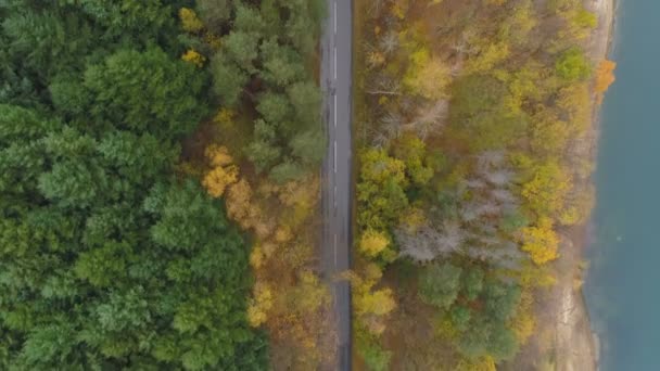 Автомобили на тихой асфальтовой дороге в золотом осеннем лесу, вид сверху — стоковое видео