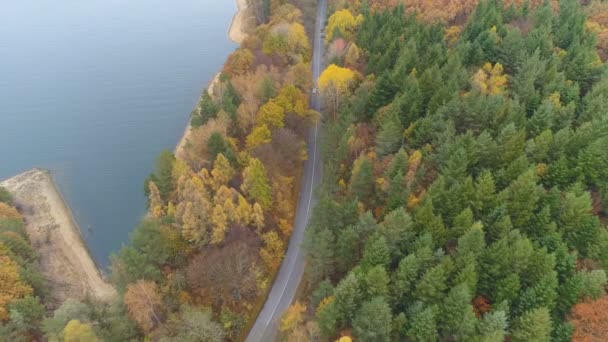 Légi kilátás festői őszi táj vegyes erdő közelében nagy tó — Stock videók