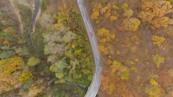 Беспилотник за красной машиной через осенний лес, вид сверху — стоковое видео