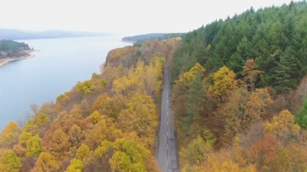 Drone voando acima da floresta de outono em cores amarelas douradas perto do lago criando landscpae épico — Vídeo de Stock
