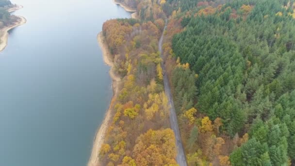 Drone następujące czarny samochód jazdy wzdłuż leśnej drogi w pobliżu malowniczego jeziora jesienią — Wideo stockowe