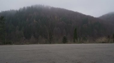 Erkek koşucu ormanda asfalt yolda hızlı koşuyor.