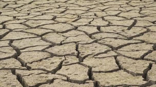 Fondo de lodo seco de la presa Studena en Bulgaria. El cambio climático y las bajas precipitaciones hacen que la presa se seque — Vídeos de Stock